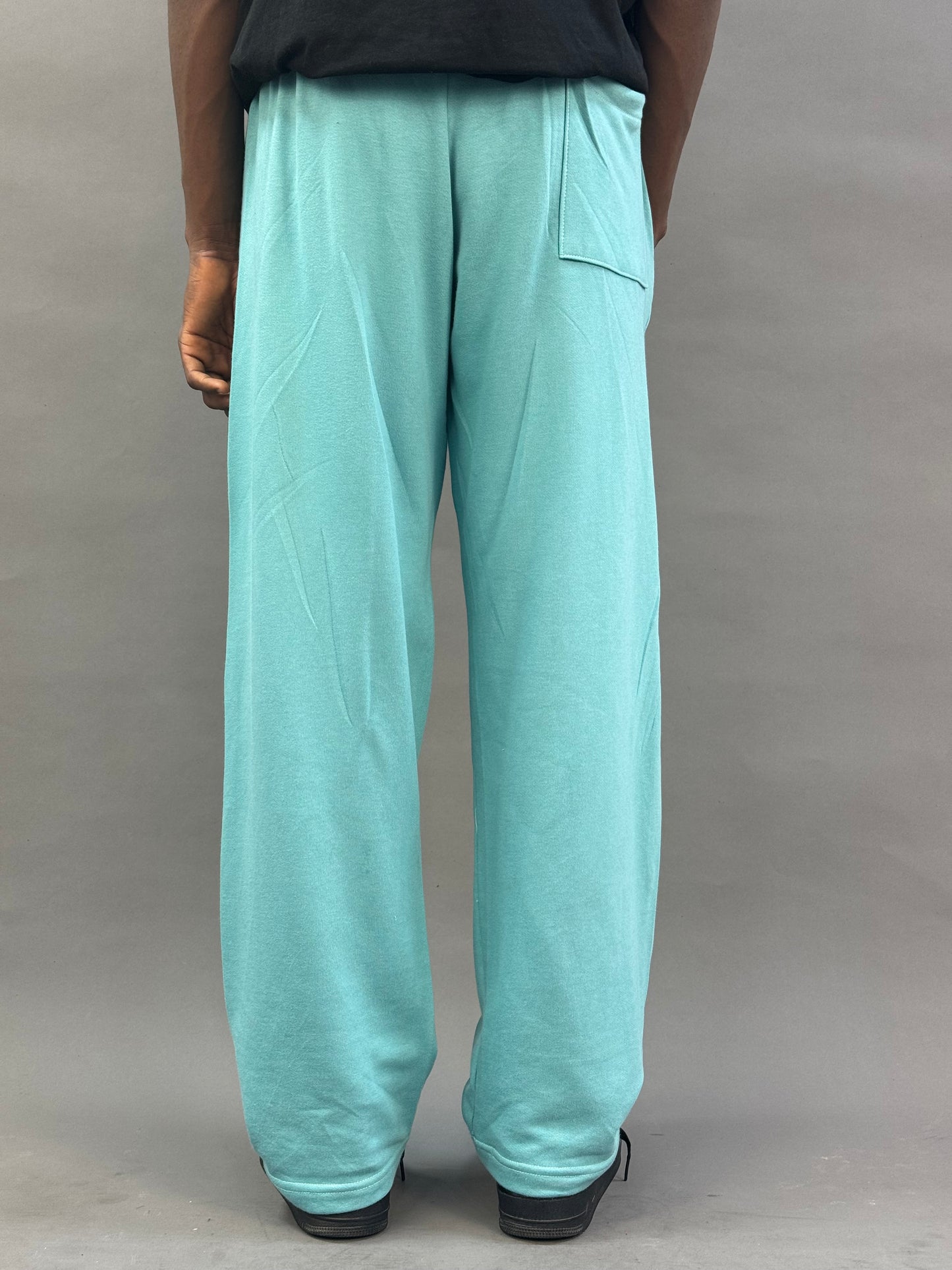 Zedek jogger pant in light green