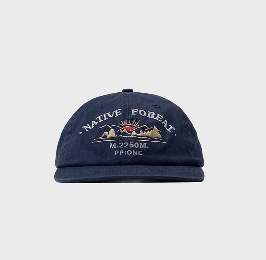 PP native dad hat blue color