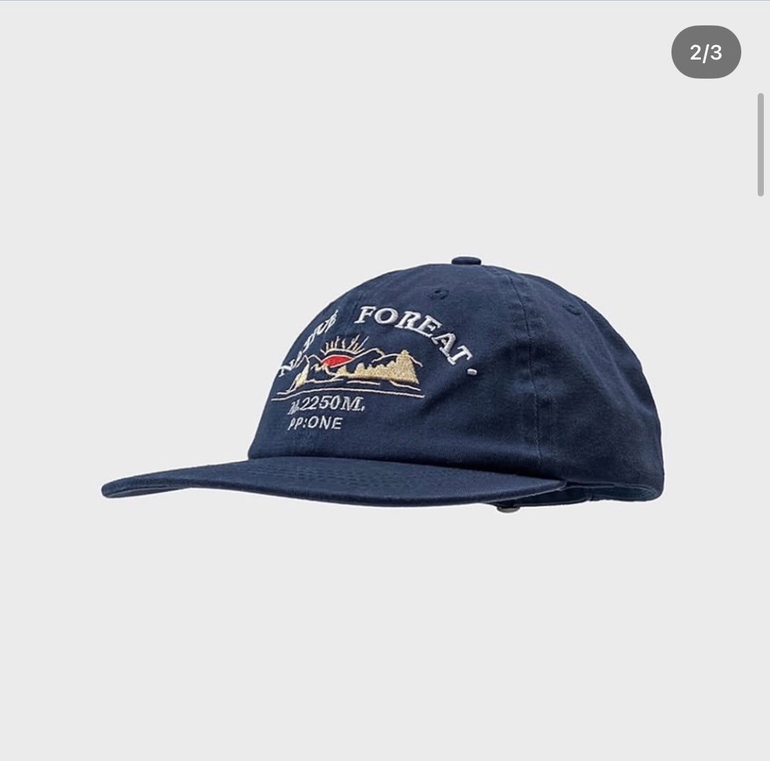 PP native dad hat blue color