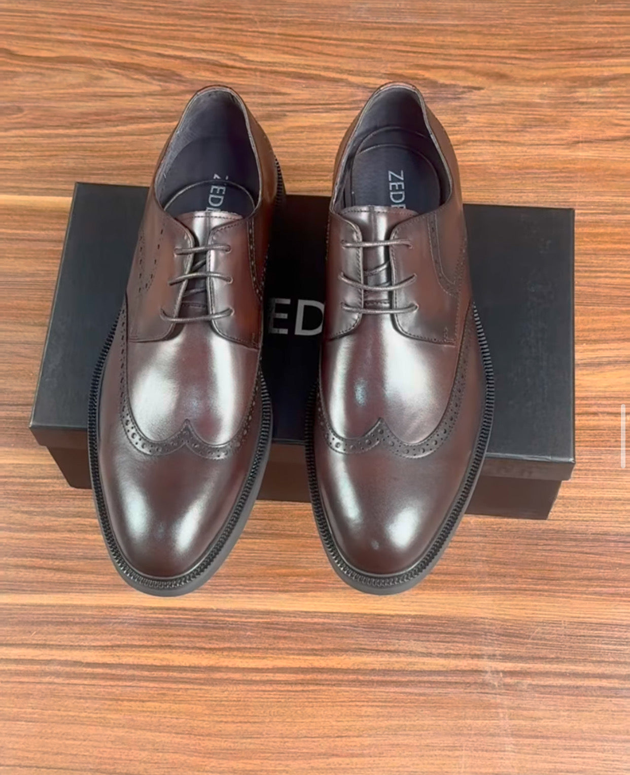 Zedek brogue shoe in brown