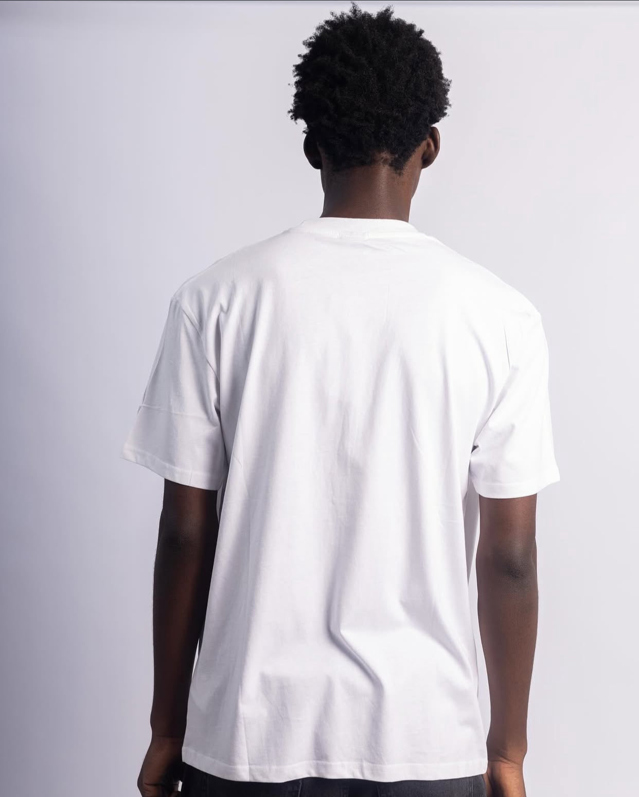 Fsbn chaotic system tee in white