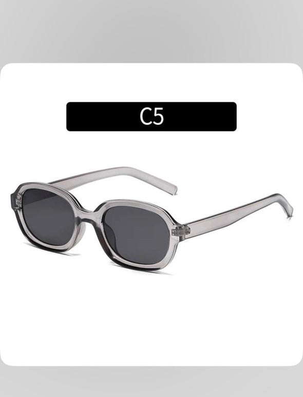 Zedek Acrylic frame Sunglasses in grey lens