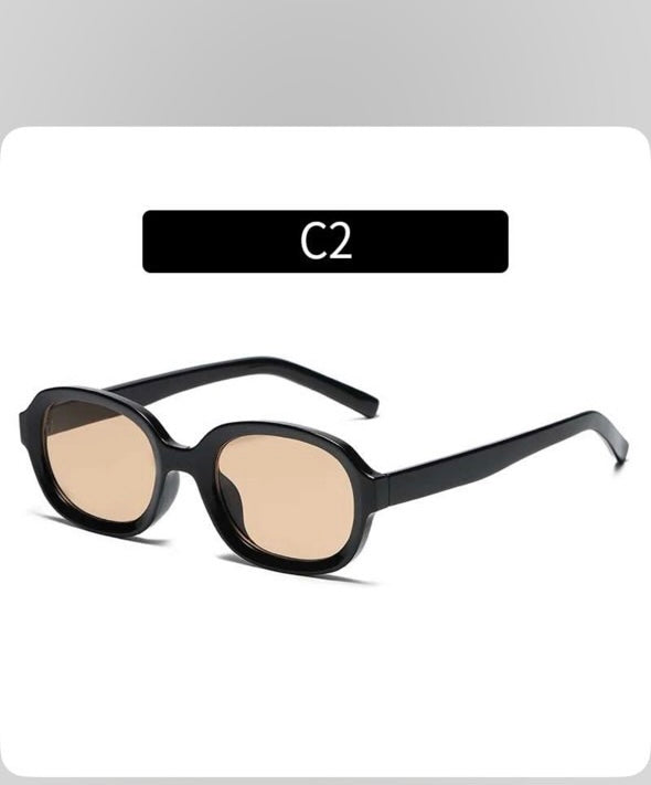 Zedek acrylic frame sunglasses in black/tea lens