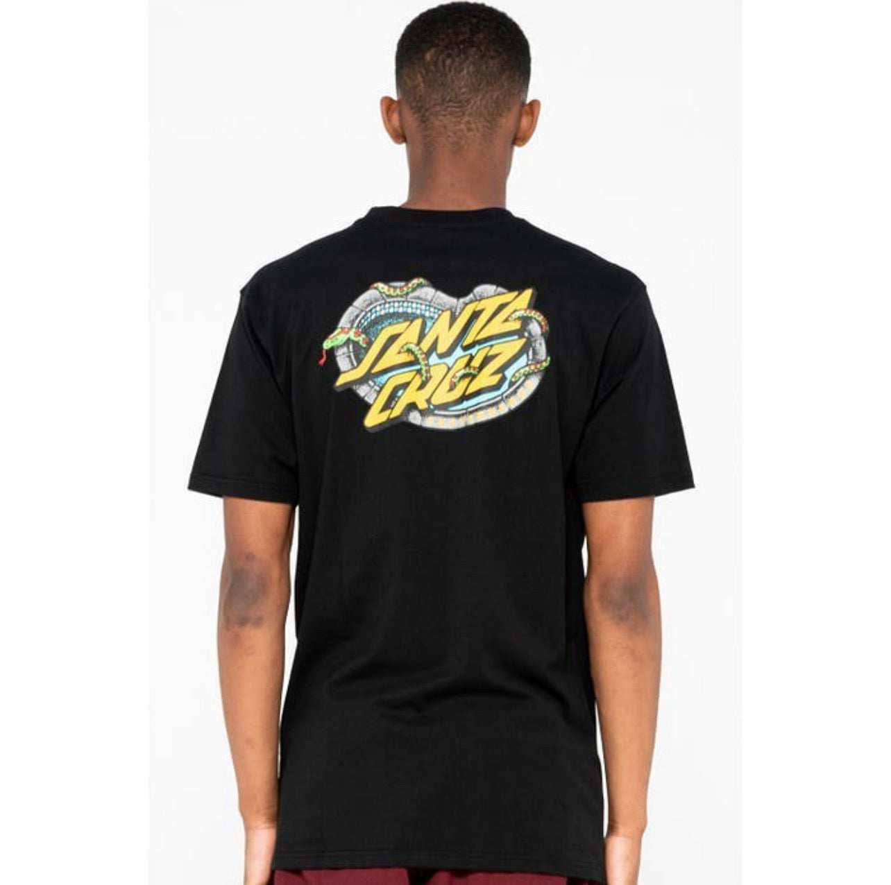 santa cruz pool snakes tshirt