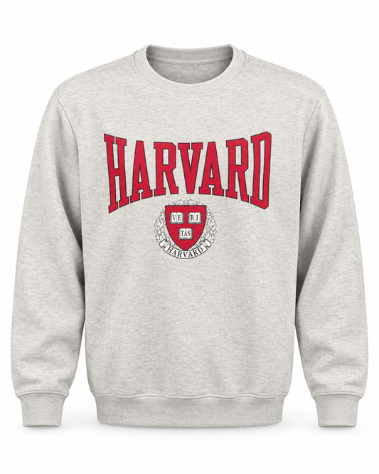 H/M Sweatshirt 043