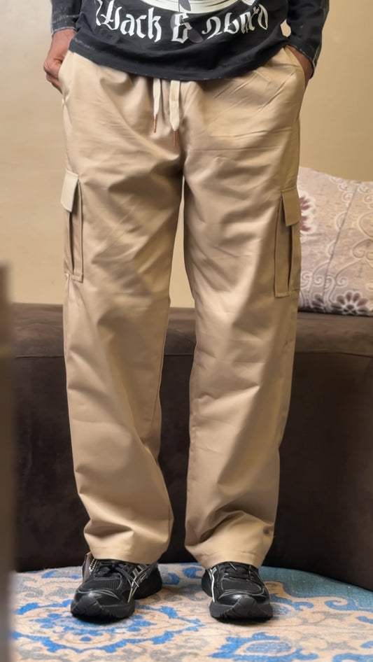 ZEDEK CARGO PANT IN CARTON