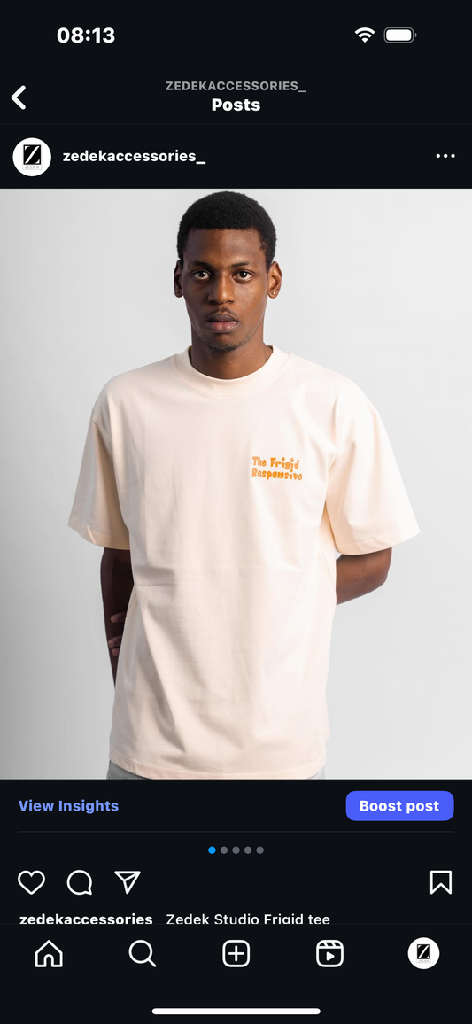 Zedek Studios Frigid tee