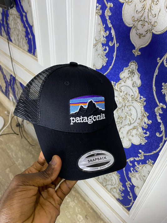 Patagonia Facecap 00